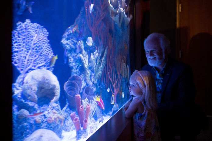 Coral exhibit opens at Keys History & Discovery Center - A person standing in a dark room - Keys History & Discovery Center