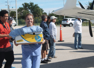 Cold-stunned turtles arrive in the Keys from New England - Car