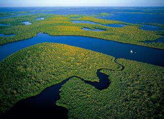 Florida Keys react to DeSantis’ water plans - A large green landscape with a body of water - Everglades City