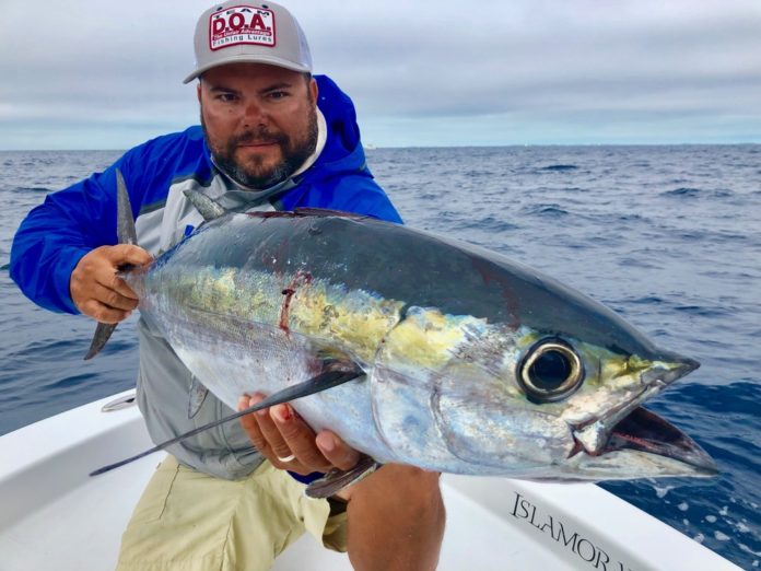 A fishing glossary of terms — “bull,” “bucket mouth,” and “swamp” - A man holding a fish in the water - Tuna
