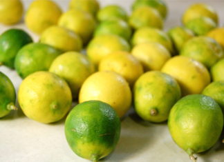 Key Lime tree planting initiative takes root in Key West - A bunch of fruit sitting on a table - Key lime pie