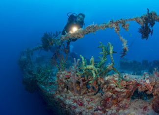 Reef wreck? Council considers artificial reef for Marathon - Underwater view of a swimming pool - Spiegel Grove