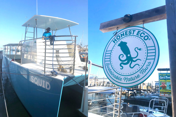 Going Green on the Deep Blue – Honest Eco launches first electric hybrid charter boat - A sign on the side of a boat - Dolphin Watch by Honest Eco®