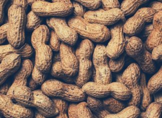 The Bassinet Telegraph – Infant Feeding and Food Allergies - A pile of fruit - Boiled peanuts