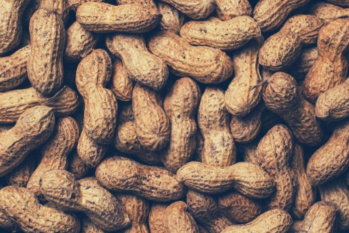 The Bassinet Telegraph – Infant Feeding and Food Allergies - A pile of fruit - Boiled peanuts