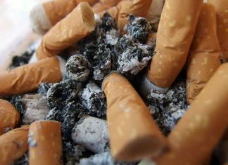 Bringing awareness to cigarette littering - A close up of food - Ashtray