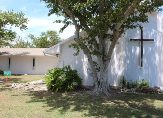  - A tree in front of a house - Tree