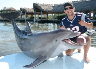 Alex Rickert Stars in New Play “Making God Laugh” - A man holding a fish jumping out of the water - Common bottlenose dolphin