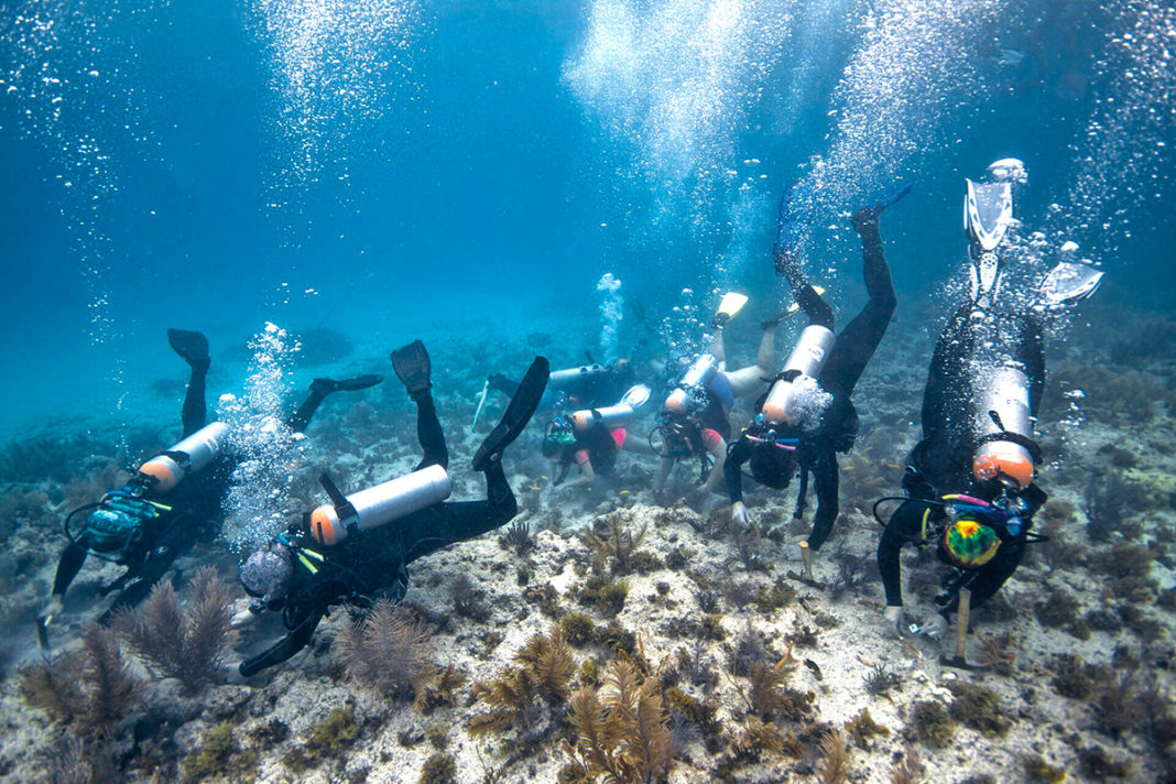  - A group of people swimming in the water - Coral reef