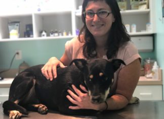 Keys Animal Hospital welcomes Shavonne Corbet - A woman holding a dog - Florida Keys