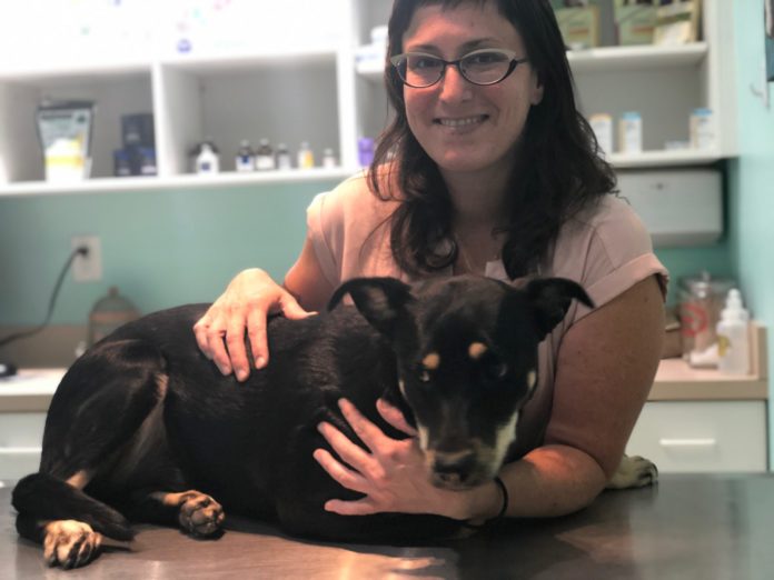 Keys Animal Hospital welcomes Shavonne Corbet - A woman holding a dog - Florida Keys