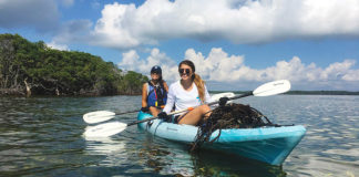 Global day encourages better future for oceans - A person riding a surf board on a body of water - Sea kayak
