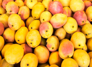 Mango Season in the Keys - A group of oranges in a pot - Alphonso