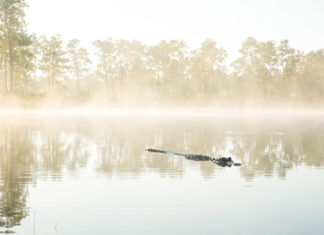 Florida Bay depends on Everglades Restoration - A pond next to a body of water - Florida Bay