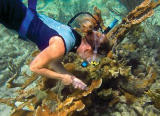 Mote scientist to receive prestigious award at Nation’s Capitol - A person swimming in the water - Coral