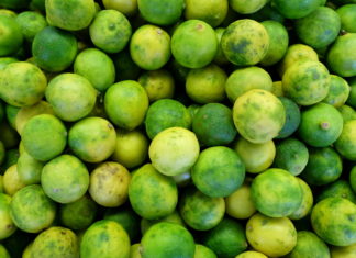 Killing Cancer with Key Limes - A group of green fruit - Key lime