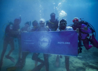 Coral Collaboration – Scientists, students and veterans join forces - A group of people swimming in the water - Florida Keys