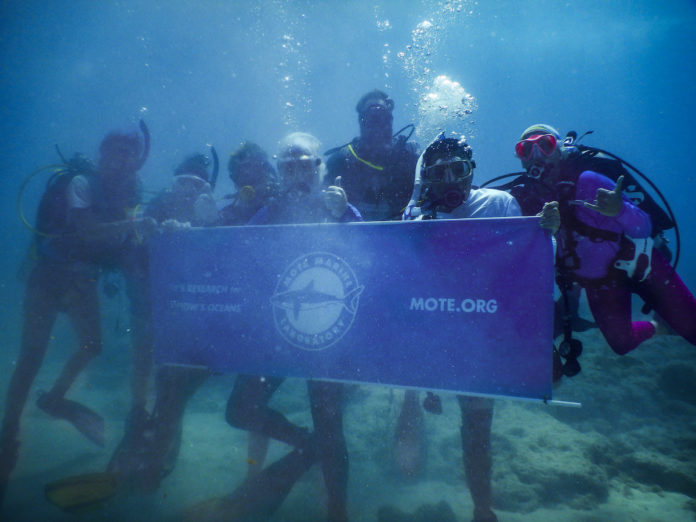 Coral Collaboration – Scientists, students and veterans join forces - A group of people swimming in the water - Florida Keys