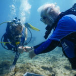 Coral Collaboration – Scientists, students and veterans join forces - A man swimming in the water - Scuba diving