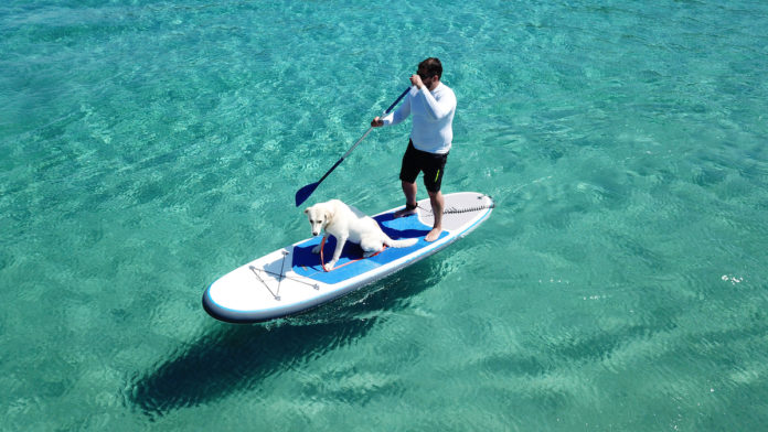 A man and dog on paddle board surrounded by blue water.