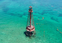 A body of water - Ocean