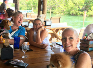 Key West PIO shares breast cancer story - A group of people sitting at a table with a dog - Pomeranian