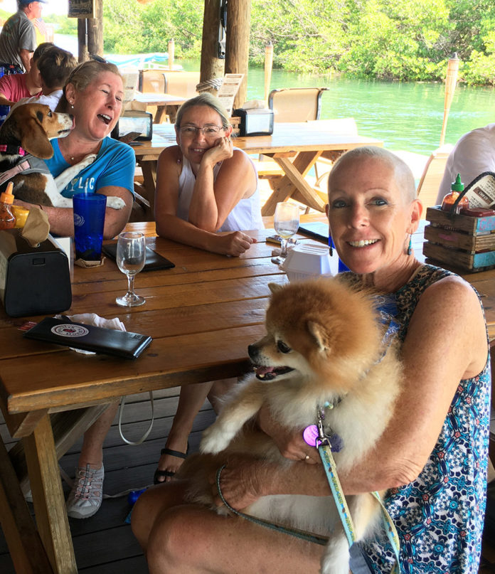 Key West PIO shares breast cancer story - A group of people sitting at a table with a dog - Pomeranian