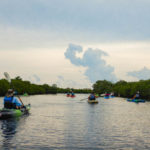 CELEBRATING CONSERVATION DECK: REEF Fest brings education, adventure - A group of people in a small boat in a body of water - Sea kayak