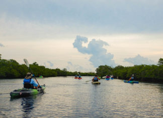 CELEBRATING CONSERVATION DECK: REEF Fest brings education, adventure - A group of people in a small boat in a body of water - Sea kayak