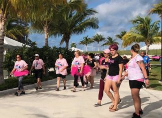 Cancer society hosts inaugural Key Largo Bridge Bra Walk - A group of people standing next to a palm tree - Public space