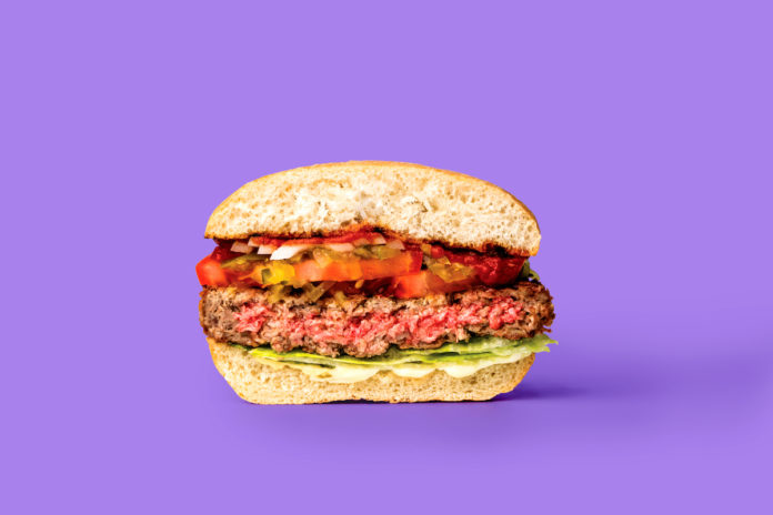 Not Your Mother’s Veggie Burger – Meatless burger drives profits, aims to curb climate change and deforestation - A sandwich cut in half - Hamburger