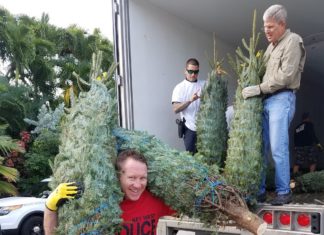 Key West Police Officer Joe Tripp totes two Christmas trees, as Officer Alex Rodriguez and Sunrise Rotarian Jim Scholl continue doling them out to a line of volunteers. MANDY MILES/Keys Weekly