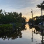 Flood-free finally for Key Largo community - A tree next to a body of water - Bayou