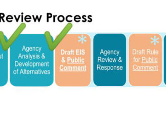 Review Process Graphic