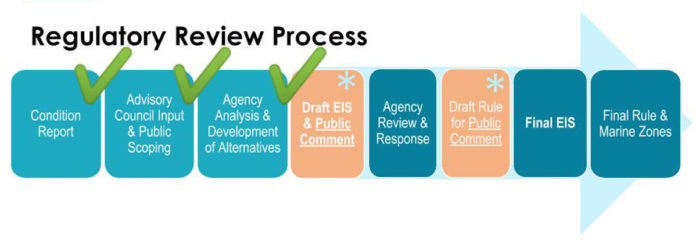 Review Process Graphic