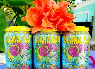 Iguana Bait hits the Publix shelves - A vase filled with pink flowers on a table - Florida Keys Brewing Co