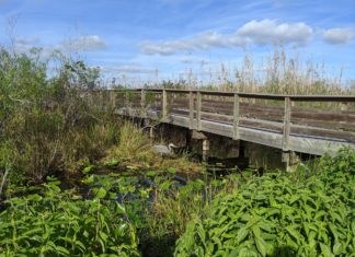 Everglades National Park reopening in phases May 4