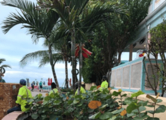 Key West art board offers artists $1,500 each for loaned artwork