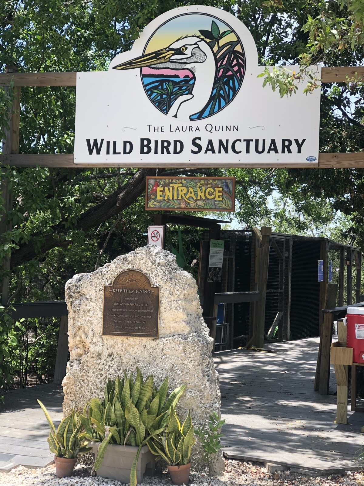 bird-center-talks-activity-through-pandemic-florida-keys-weekly