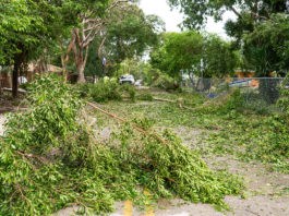 Jules Undersea Lodge Key Largo Florida As The Reigning Only Underwater Hotel Diving School And U Underwater Hotel Florida Travel Best Places In Florida