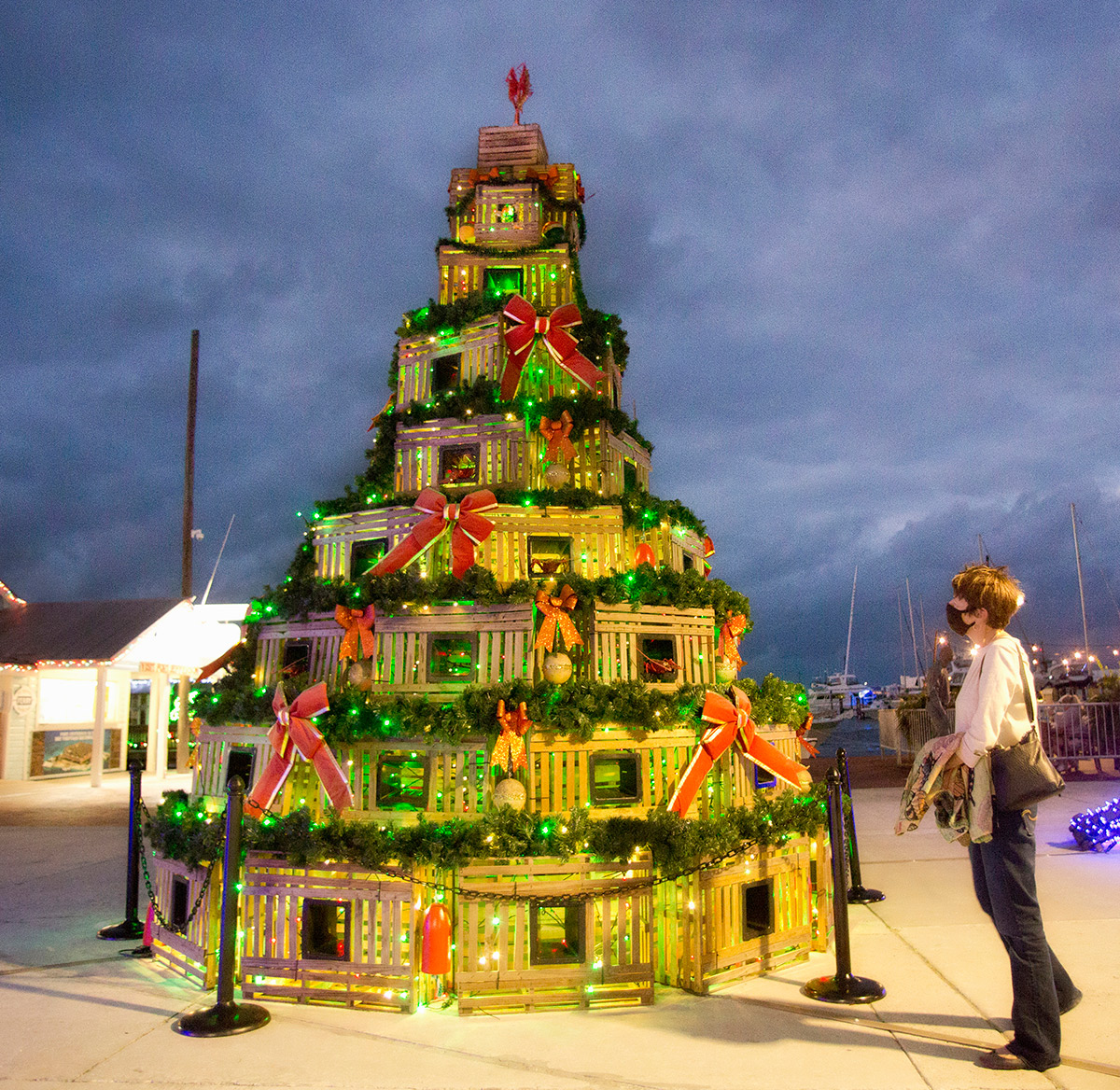 Christmas In Key Largo 2022 Subdued Holiday Fest Still Sparkles At Key West Harbor - Florida Keys Weekly Newspapers