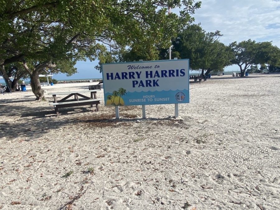 ENTRY FEES COULD INCREASE FOR HARRY HARRIS PARK VISITORS