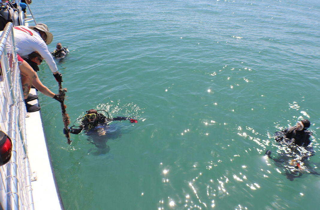 U.S. Army Special Forces join Sanctuary and Coast Guard to Clean up Waters