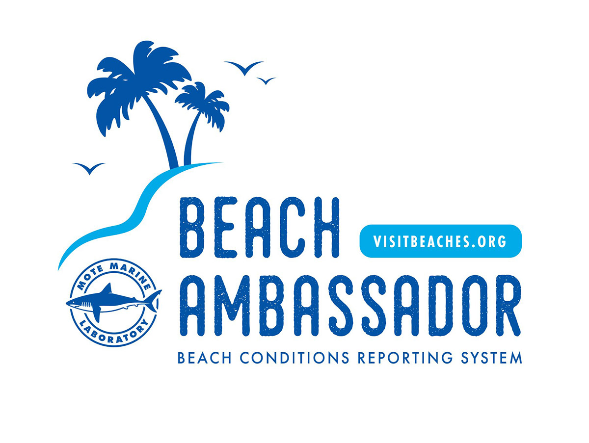 THINK YOU HAVE WHAT IT TAKES TO BE A BEACH AMBASSADOR FOR MOTE?