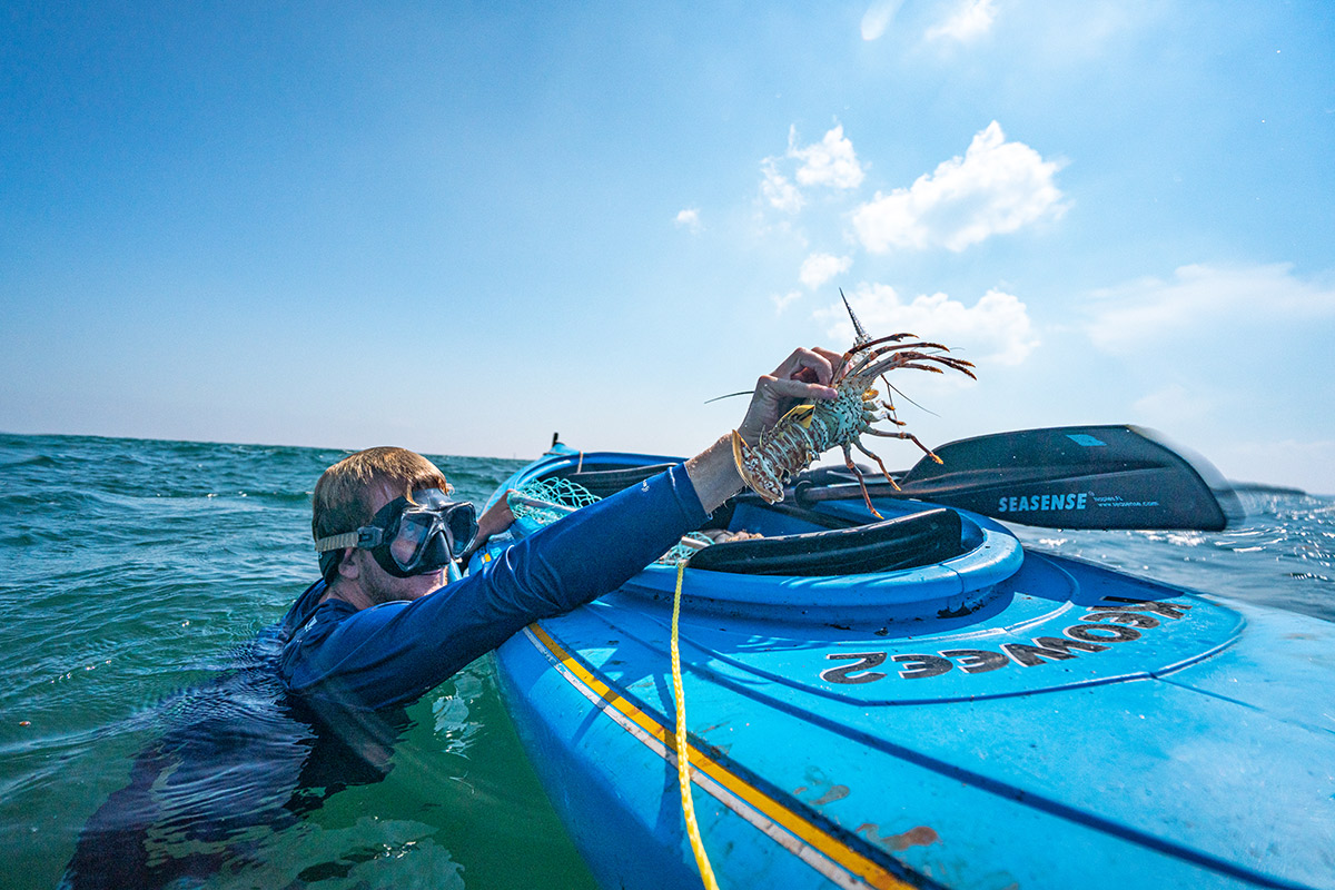 MINI SEASON KNOW WHERE TO GO BEFORE YOU SNATCH A LOBSTER ONBOARD