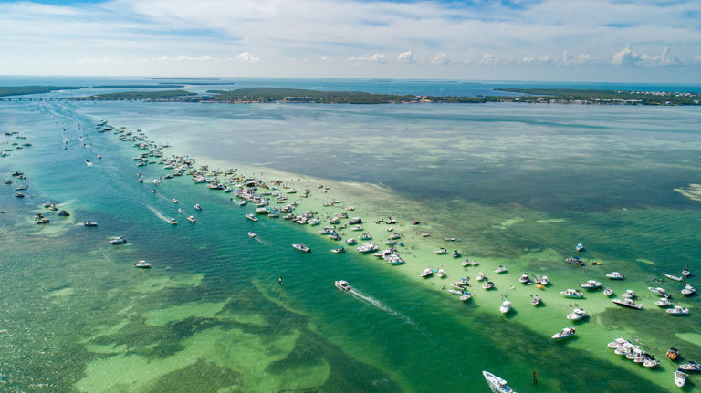 MORE BOATS MEANS MORE PROP SCARRING OF SEAGRASS