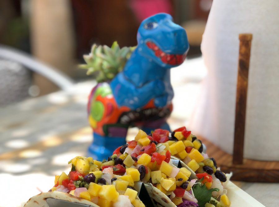 BIZ FEATURE BONGOS DEFINES ISLAND VIBE IN THE KEYS