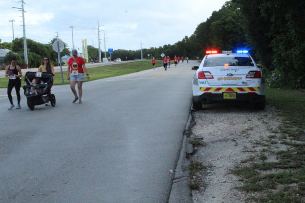 a police car parked on the side of a road