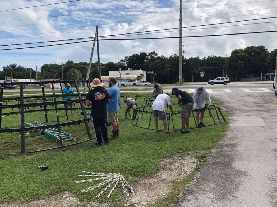 KEY LARGO CHRISTMAS TREE COMES TO LIFE