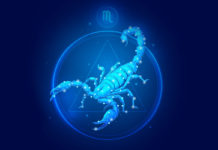 a scorpion on a blue background
